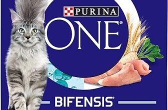 Purina ONE Indoor Cat Adult Dry Cat Food Rich in Turkey 750g, Pack of 4