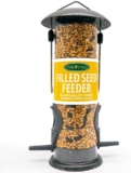 Hanging vs. Pole-Mounted Bird Feeders