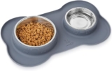 Review: Pecute Stainless Steel Double Dog Bowls