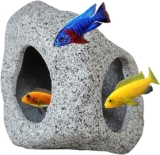 Our recommended picks for 7 stunning Aquarium Decor must-haves!