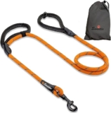Retractable vs. Standard Dog Leashes