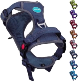 How to train a dog to wear an adjustable harness comfortably?
