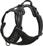 TrueLove TLH5651 Reflective Harness: A Pet Safety Must-Have
